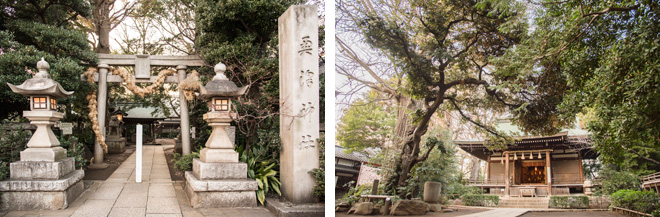 藁の大蛇が巻き付く鳥居に導かれて、奥沢駅近くの奥澤神社へ。荘厳な本殿や樹齢を重ねた大木も立派で、癒しのパワースポットとしても知られています。