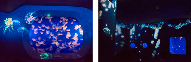 「クラゲファンタジーホール」では、ホール全体にプロジェクションマッピングが投影され、潜水艦で旅するように海月を鑑賞できます。