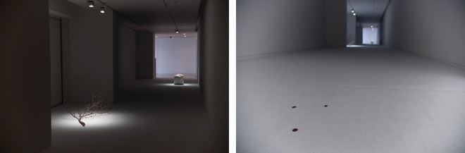 左：続いてスポットライトを浴びる「無題（梅の木）」（2016）。右：床に散りばめられた小銭に導かれるように進む。