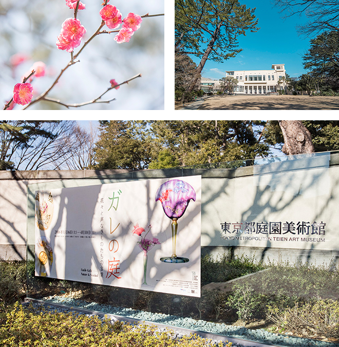 美術館の庭には梅の花が咲いていました。木の影が浮世絵のように映り込んだ看板が印象的です。