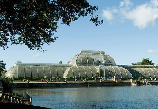 キュー王立植物園のパーム・ハウス © The Board of Trustees of the Royal Botanic Gardens, Kew