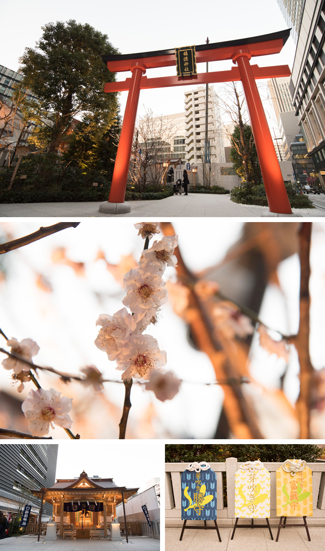 ビルの谷間の日本橋室町「福徳神社」。期間限定で「桜みくじ」も登場。境内には早くも桜が咲いていた。