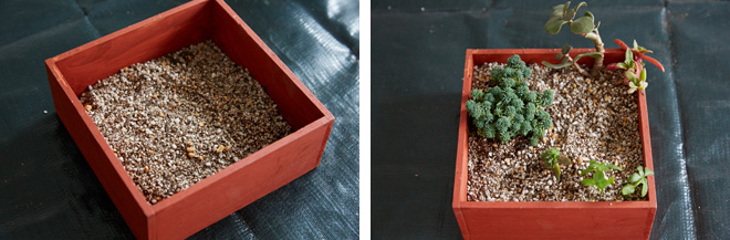 （左）水はけ用の小さな穴を開けられる場合はそのまま多肉植物用土を入れてOK （右）土を半分ほど入れた後、完成をイメージしつつ、植物から植えていく 