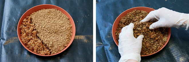赤玉土の極小粒:水苔＝8:2の割合で準備し、よく混ぜておく。写真のように少量の水苔を戻す場合は、乾燥状態の水苔を細かくカットしてジッパー付きの保存袋に入れ、その中に水を入れて戻すとラク。